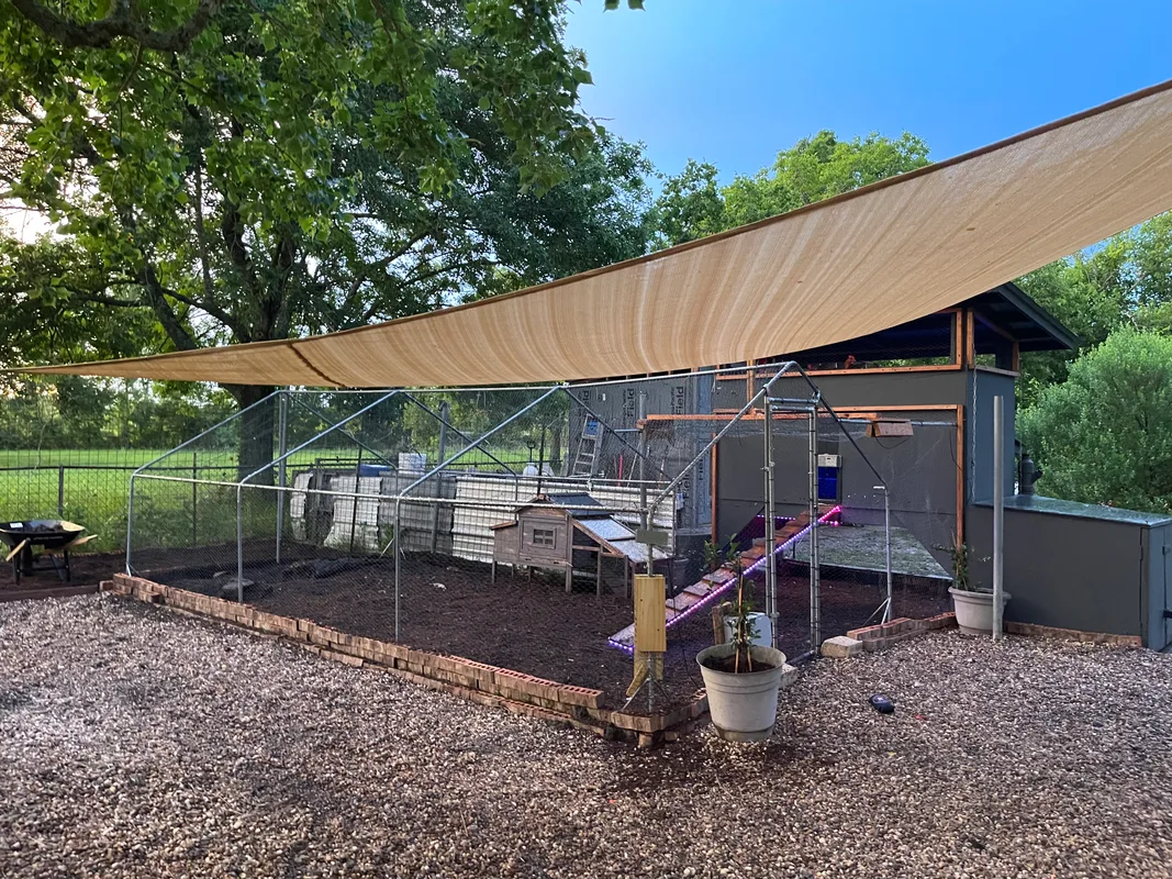 The Chicken Ranch livestream enclosure and camera setup